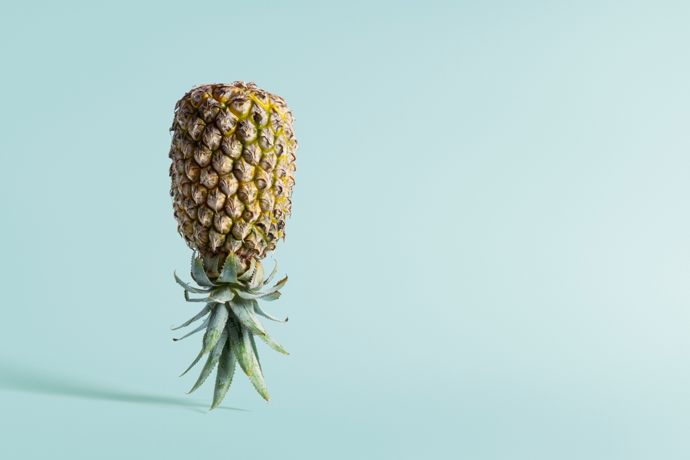 Unveiling the Secret Behind Upside-Down Pineapple