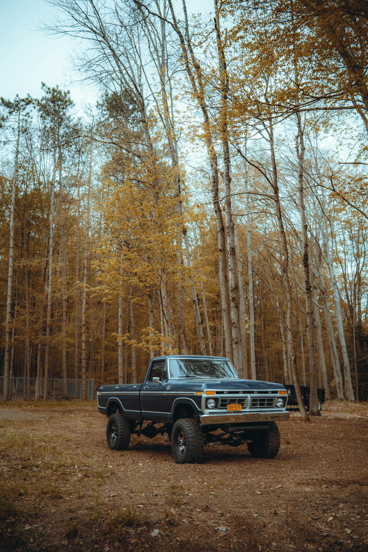 4x4 vehicle parked in forest