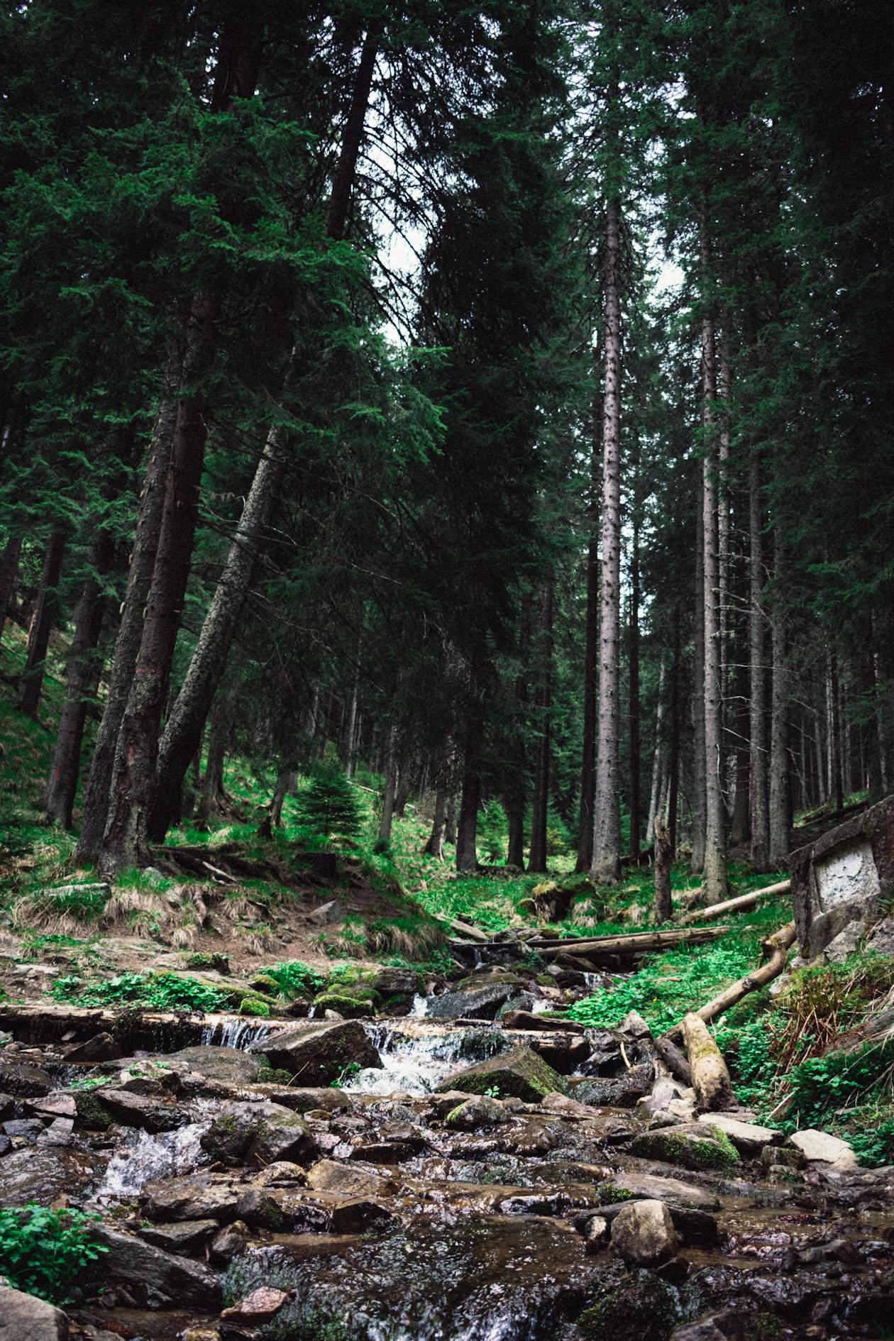 SUV adventure vehicle on mountain road